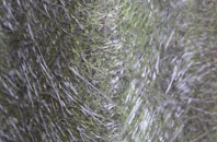 Stonegravels fibreglass roof work